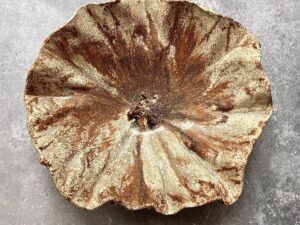 PATERA *DEEP INTO THE SEA. BROWN* 41cm