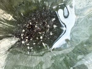 202096f8-b8a2-4c84-8ee0-9e3272f25f34