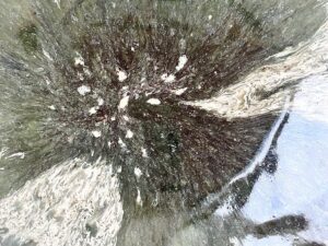 20e465f5-c934-4f89-afeb-b3962029241c