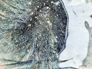 4ce20946-6e7d-4857-ad46-3625f1e8f9b5