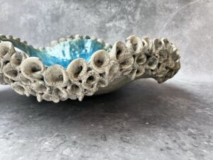 52e1014b-018f-435c-99d7-b937b55b25e3