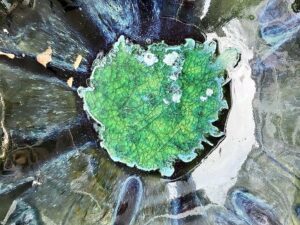 8f06ac61-874c-4717-8dfb-a764e1ece63f