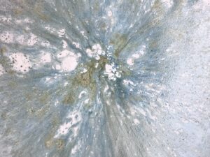 cbbe4deb-6e65-4f3b-8412-2994be35a442