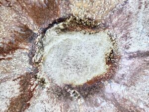 d23d686c-925e-4bc8-9e8b-1d2340dca004