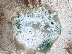 f0018145-fced-4051-bde7-f1124a34d72a