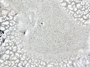 bdb69af1-8d12-4d46-a0c3-54a105b07cd7