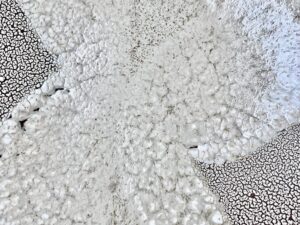 cdd175e3-7edc-40a8-8194-44f35020b101