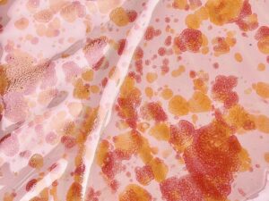 d869e673-d46f-40da-bd36-85c2984792e8