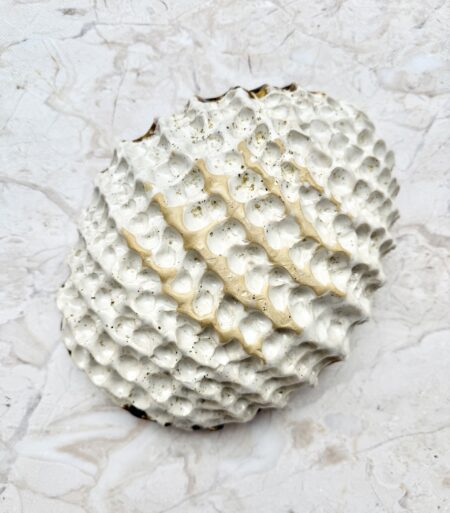 ab09ec09-d524-4723-91df-44b6b599e7ad